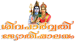 best astrologer in kochi ernakulam